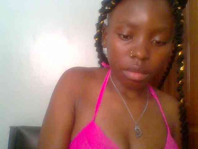 chocolate-brownie webcam