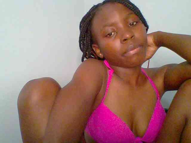 chocolate-brownie webcam