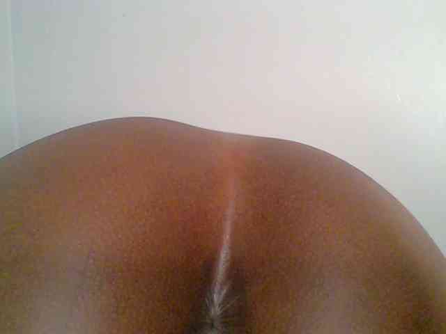 chocolate-brownie webcam