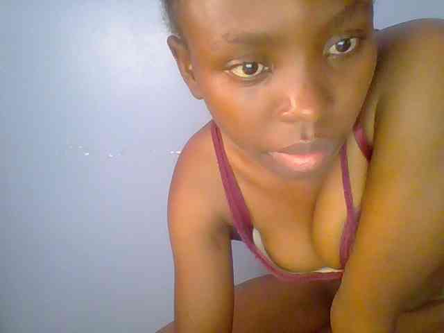 chocolate-brownie webcam