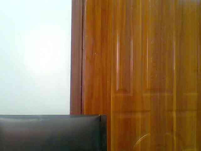 chocolate-brownie webcam