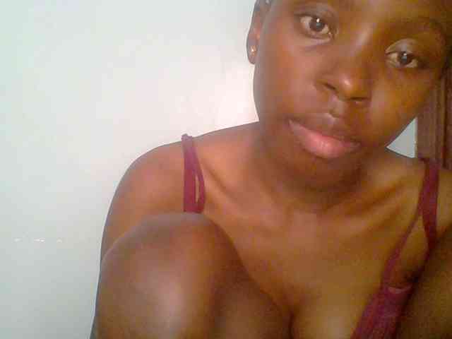 chocolate-brownie webcam