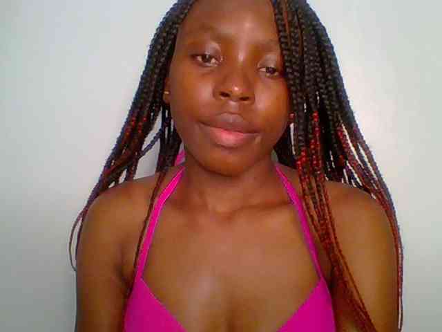 chocolate-brownie webcam