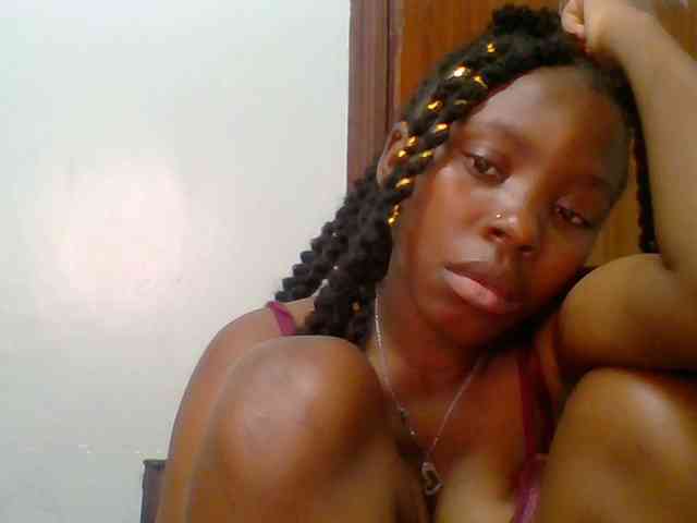 chocolate-brownie webcam