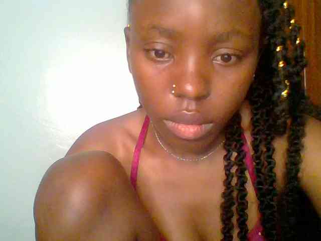 chocolate-brownie webcam