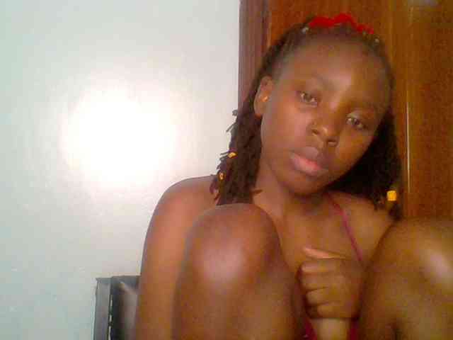 chocolate-brownie webcam