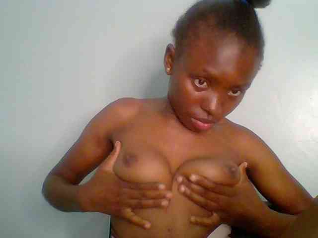 chocolate-brownie webcam