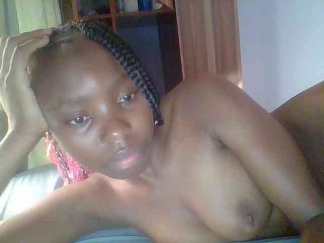 chocolate-brownie webcam