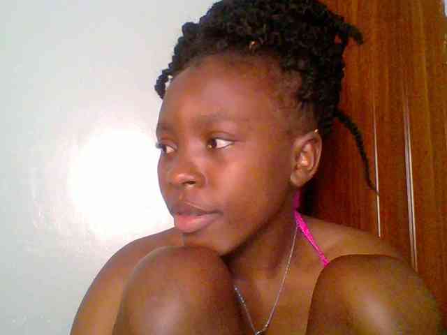 chocolate-brownie webcam