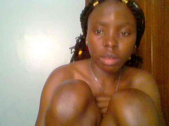 chocolate-brownie webcam