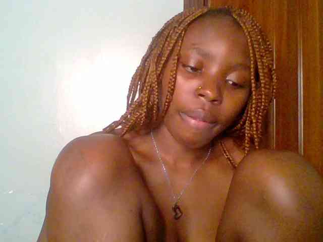 chocolate-brownie webcam