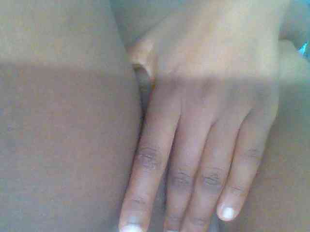 chocolate-brownie webcam