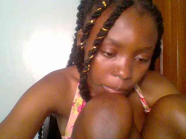 chocolate-brownie webcam