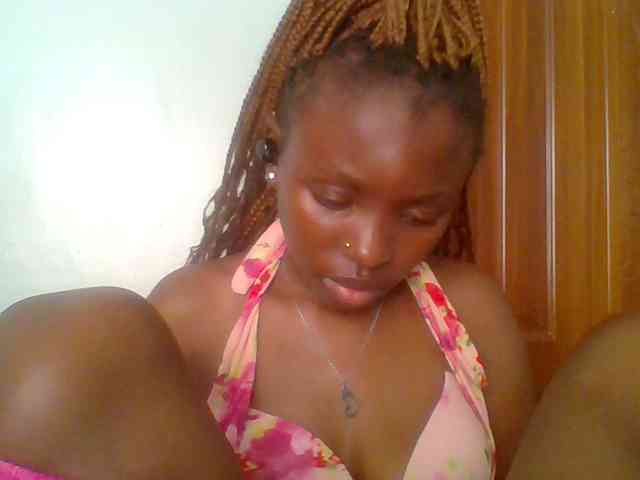 chocolate-brownie webcam