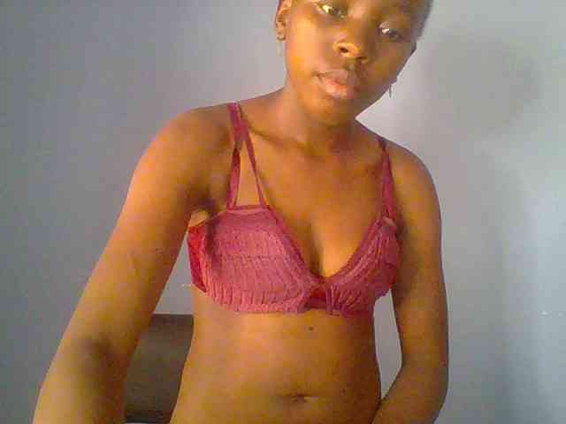 chocolate-brownie webcam