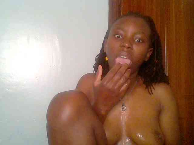 chocolate-brownie webcam