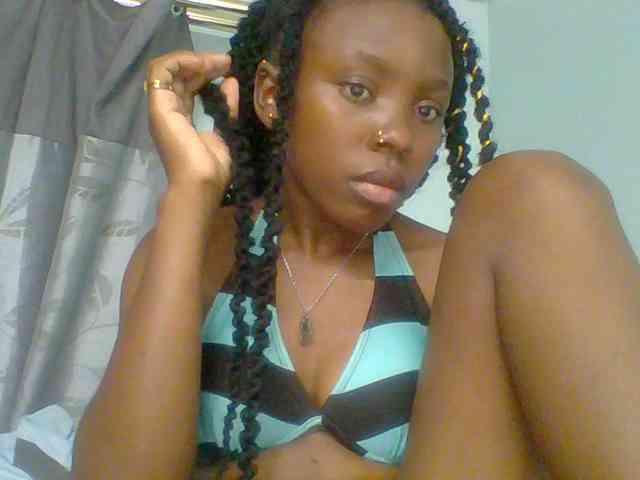 chocolate-brownie webcam