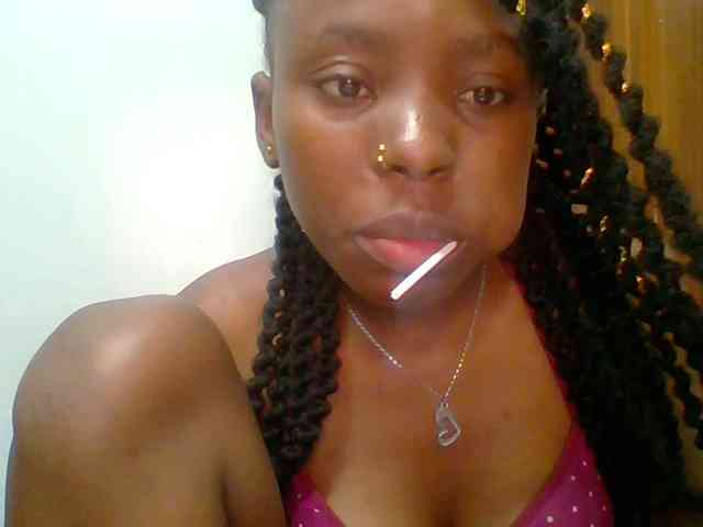 chocolate-brownie webcam