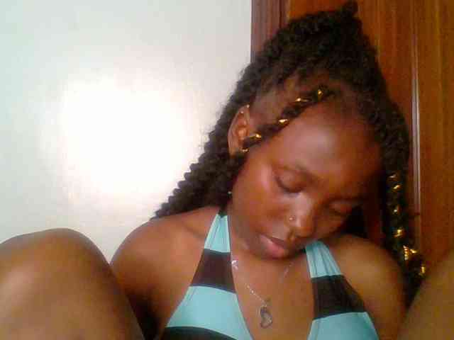 chocolate-brownie webcam