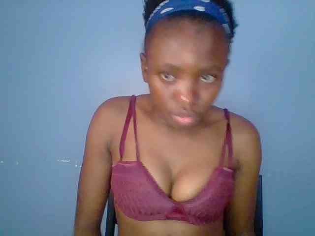 chocolate-brownie webcam