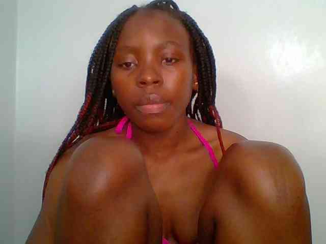 chocolate-brownie webcam