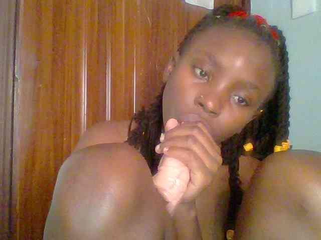 chocolate-brownie webcam