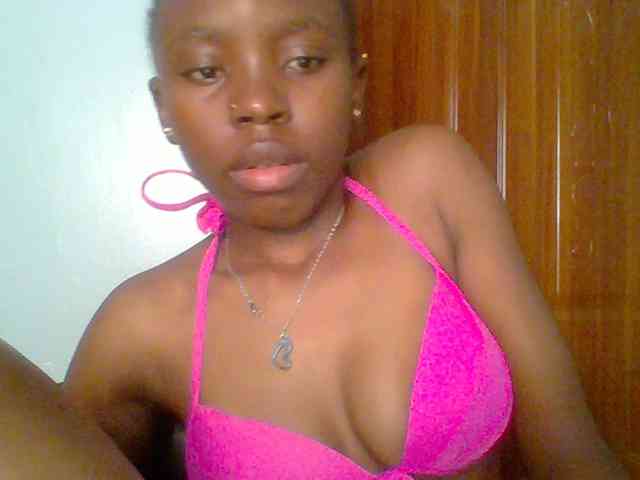 chocolate-brownie webcam