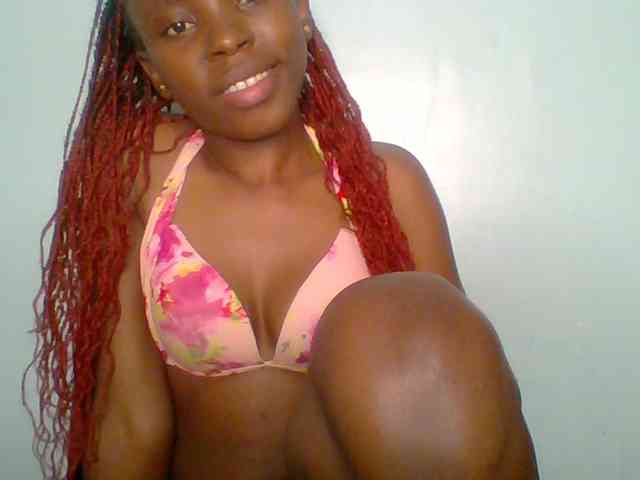 chocolate-brownie webcam