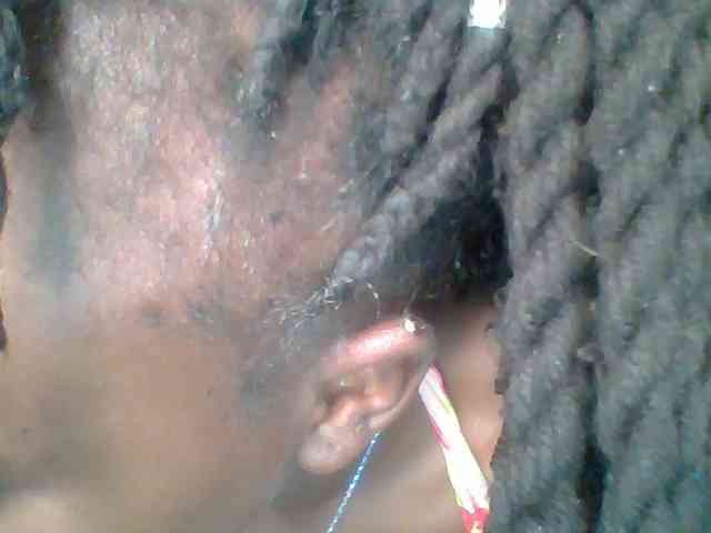 chocolate-brownie webcam