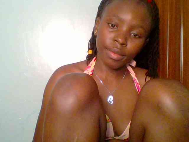 chocolate-brownie webcam