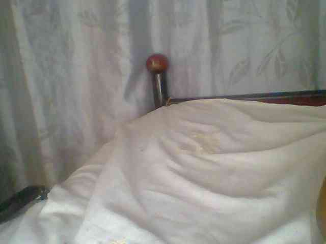 chocolate-brownie webcam