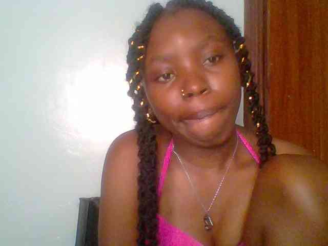 chocolate-brownie webcam