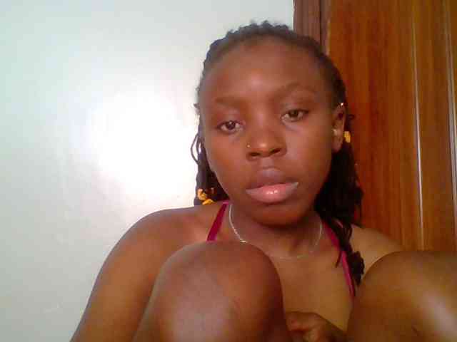 chocolate-brownie webcam