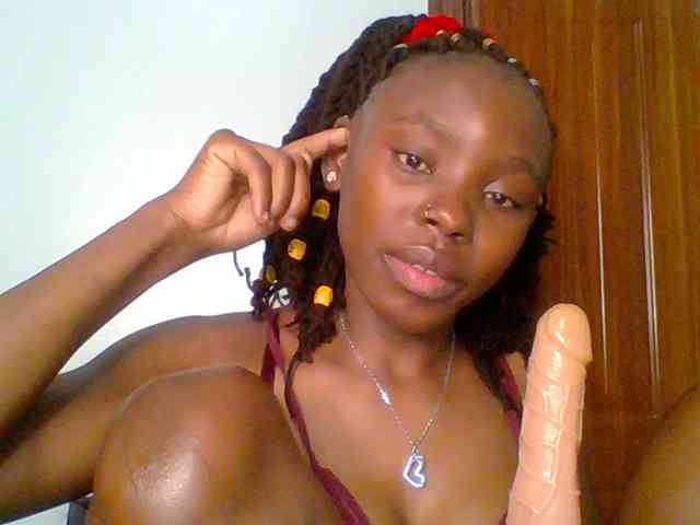 chocolate-brownie webcam