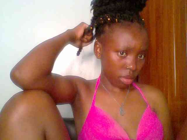 chocolate-brownie webcam