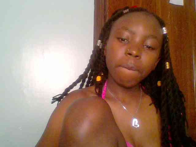 chocolate-brownie webcam