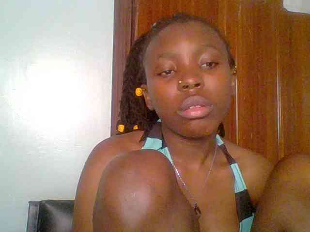 chocolate-brownie webcam