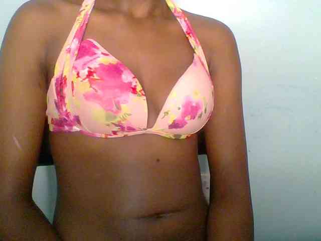 chocolate-brownie webcam