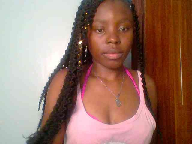 chocolate-brownie webcam