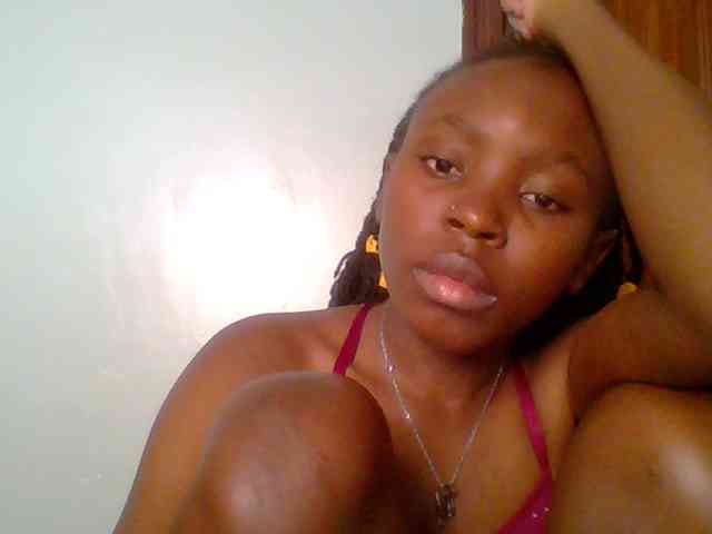 chocolate-brownie webcam