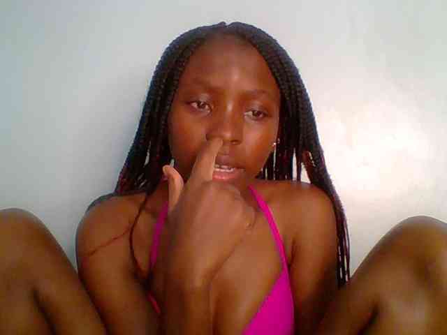 chocolate-brownie webcam