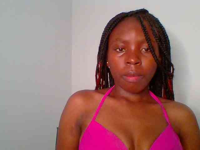 chocolate-brownie webcam