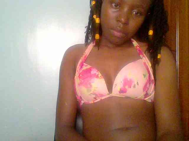 chocolate-brownie webcam