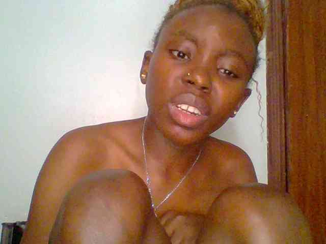 chocolate-brownie webcam