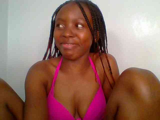 chocolate-brownie webcam