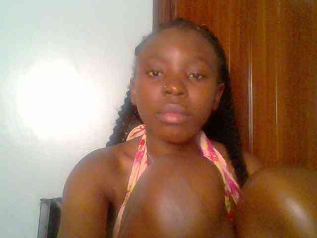 chocolate-brownie webcam