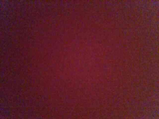 chocolate-brownie webcam