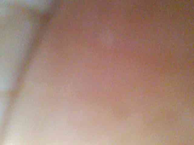 chocolate-brownie webcam