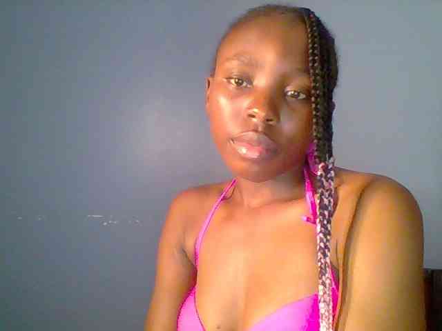 chocolate-brownie webcam