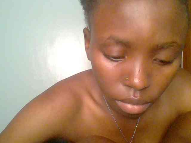 chocolate-brownie webcam